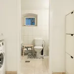 Luxury In The Old Palace
