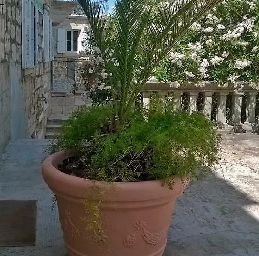Luxury In The Old Palace